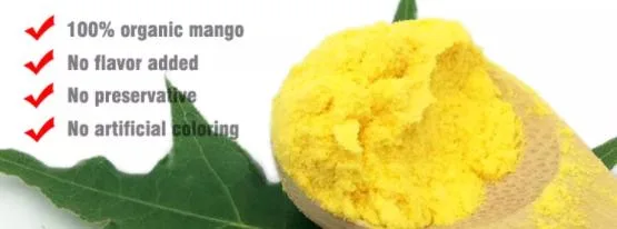 Manufacturer Price Fruit Drink Mango Powder USDA Organic Pure