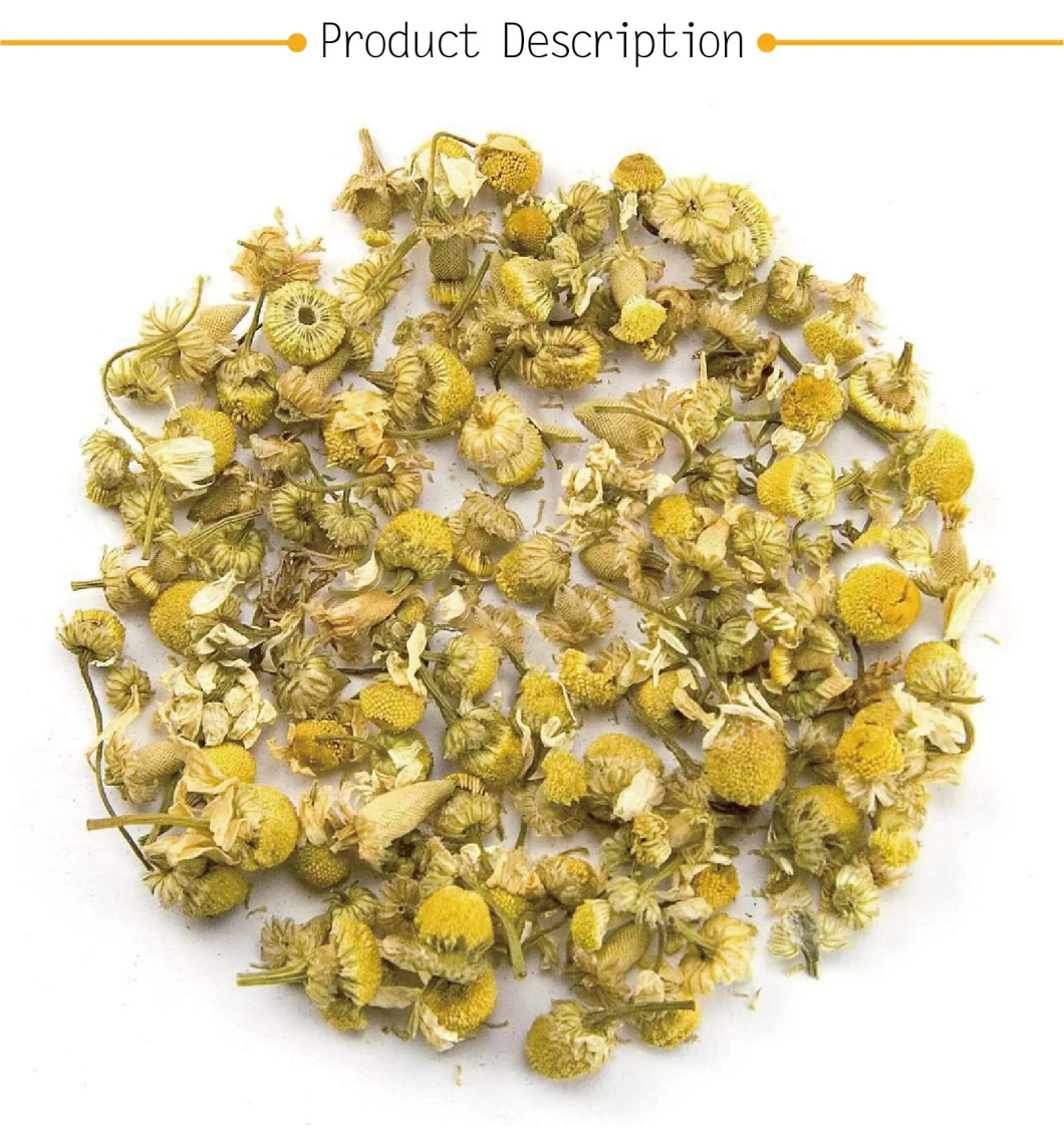 Organic Dried Chamomile Flower Tea for High Quality