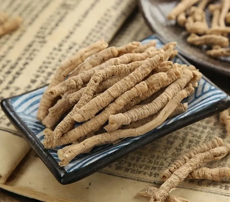 Chinese Herb Polygala Tenuifolia Root Dried Organic Polygalae Radix